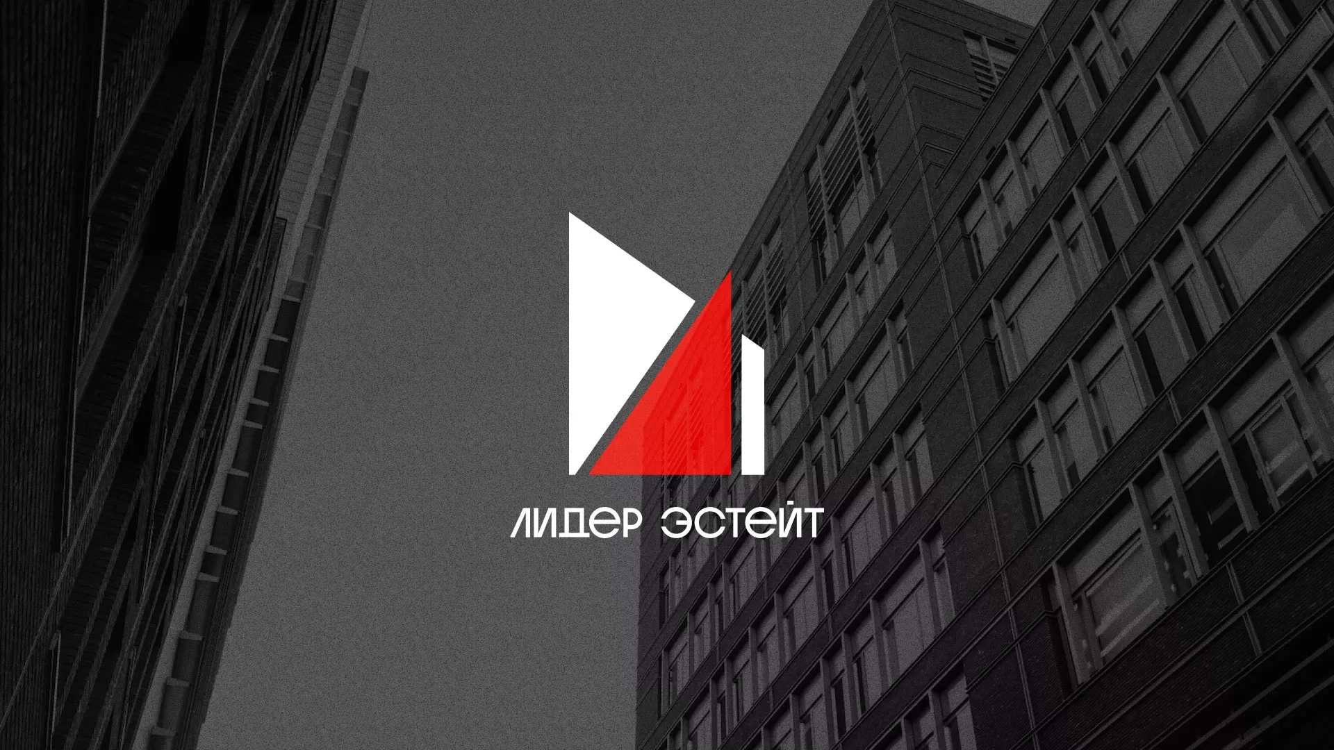 Сделали логотип для агентства недвижимости «Лидер Эстейт» в Новочебоксарске